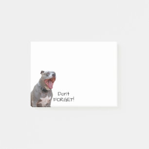 Pitbull Morning Yawn Don't Forget Notes