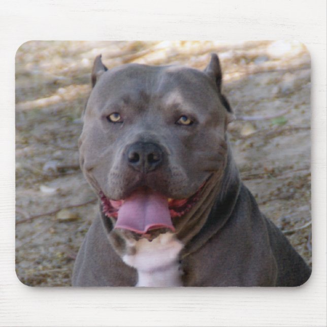 Pitbull Mousepad (Front)