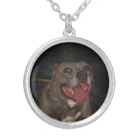 Pitbull jewelry hotsell