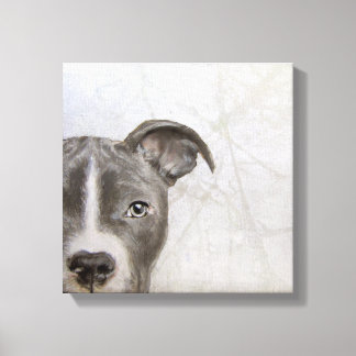 pitbull original painting by Miart print