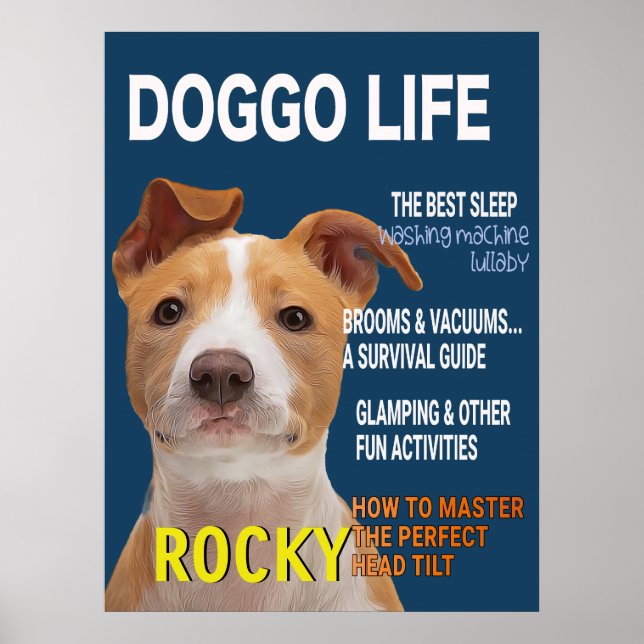 Pitbull Parody Magazine Cover Poster (Front)