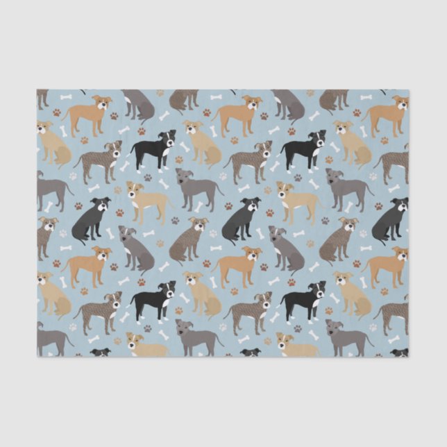 Pitbull Paws and Bones Tissue Paper (Front)