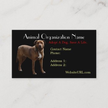 Pitbull Photo Dog Rescue Business Card by CountryCorner at Zazzle