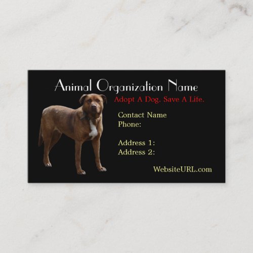 Pitbull Photo Dog Rescue Business Card
