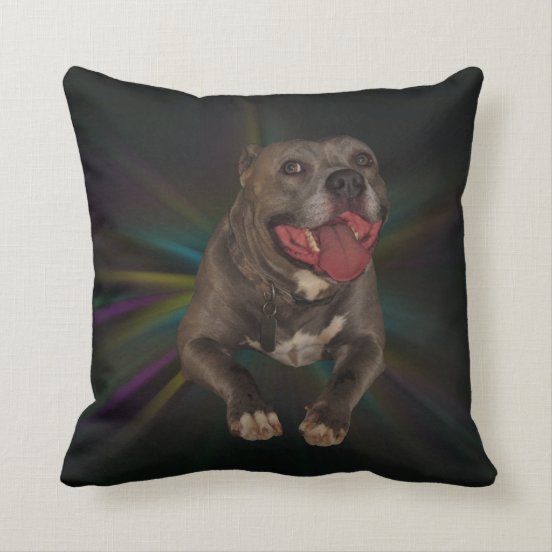 pitbull throw pillows