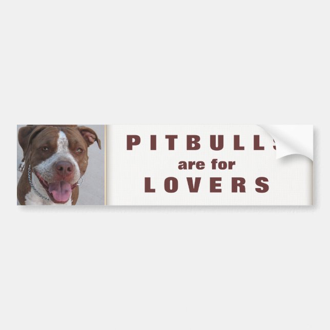 Pitbull Play With Me Bumper Sticker (Front)