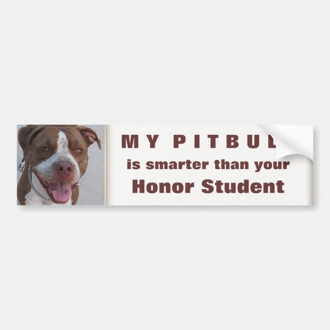 Pitbull Play With Me Bumper Sticker (Front)