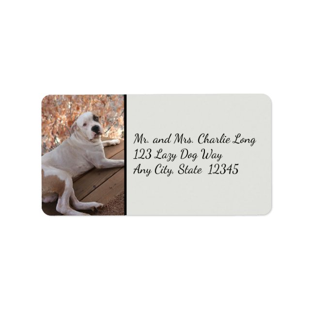 Pitbull Porch Dog Address Labels (Front)