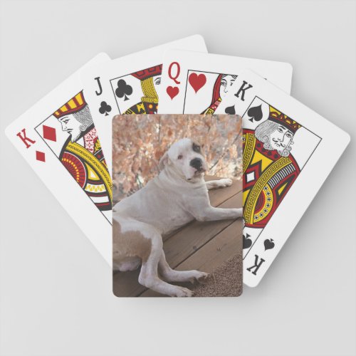 Pitbull Porch Dog Playing Cards
