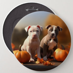 Pitbull Puppy Autumn Delight Pumpkin  Button