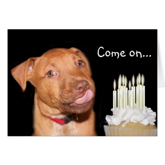 Pitbull puppy birthday card | Zazzle.com