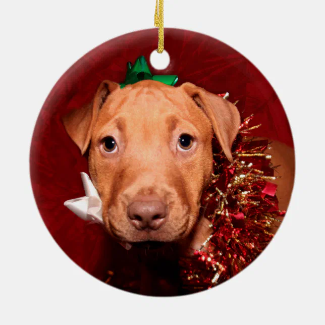 Pitbull puppy Christmas Ceramic Ornament | Zazzle