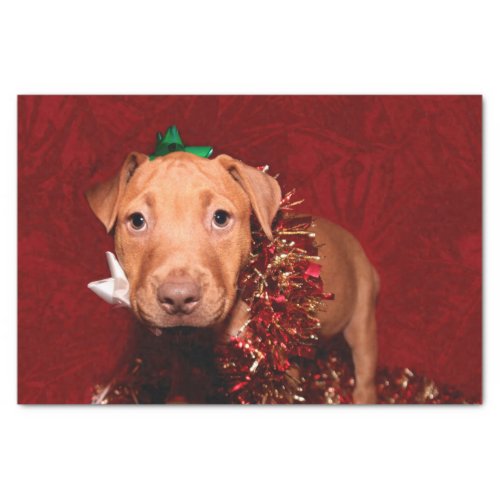 Pitbull puppy Christmas Tissue Paper