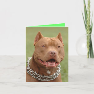 Pitbull Puppy Dog Blank Note Card