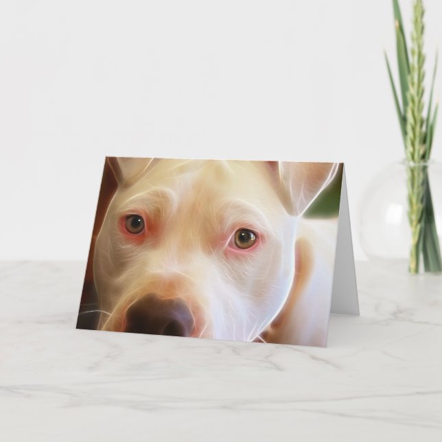Pitbull Puppy Dog Eyes Art Photography Card (Front)