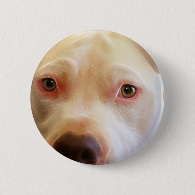 Pitbull Puppy Dog Eyes Art Photography Pinback Button (Front)