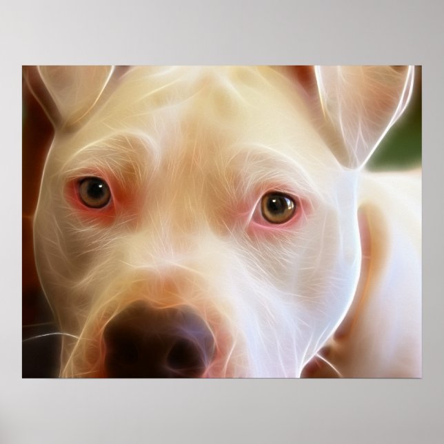 Pitbull Puppy Dog Eyes Art Photography Poster (Front)