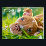 PitBull Puppy Dog Love Pit Bulls Calendar<br><div class="desc">Introducing the "Pit Bull Love" Calendar, an enchanting collection celebrating the majestic beauty and tender hearts of pit bulls. Each month features stunning high-definition photos capturing the essence of these beloved canines. From joyful playful moments to captured moments, every image tells a story of loyalty, strength, and affection. Whether you're...</div>