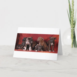 Pitbull puppy heaven card