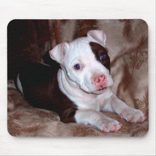 Pitbull Puppy Mousepad