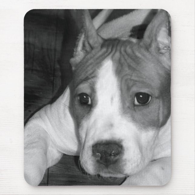 Pitbull puppy mousepad (Front)