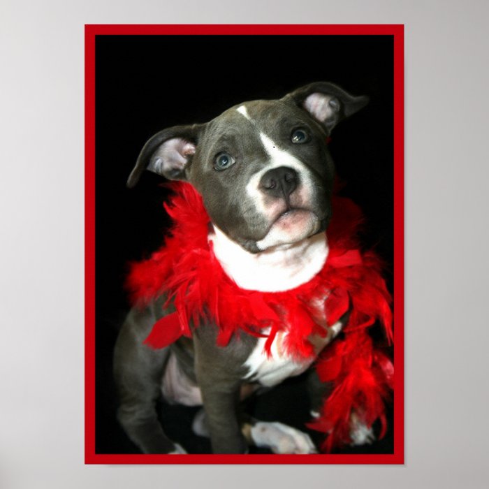 Pitbull puppy poster