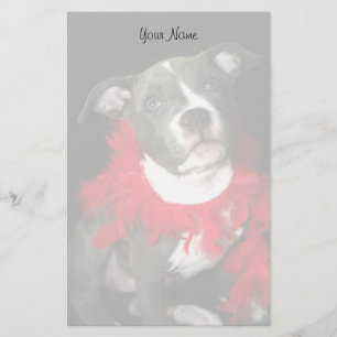 Pitbull puppy stationary stationery