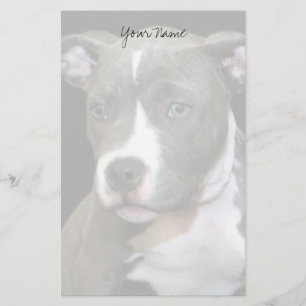 Pitbull puppy stationary stationery