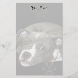 Pitbull puppy stationary stationery