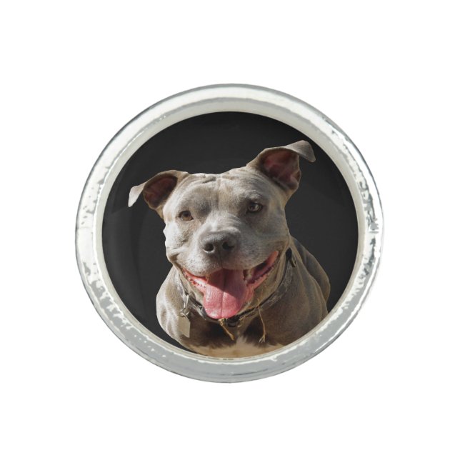 Pitbull Ring (Front)