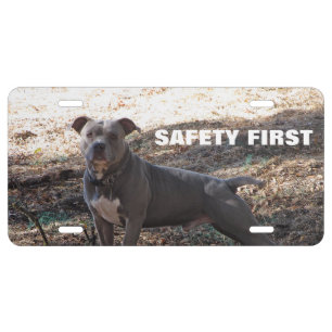 Pitbull Safety First License Plate