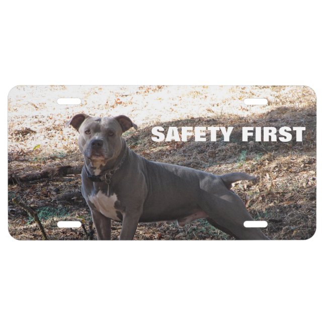 Pitbull Safety First License Plate (Front)