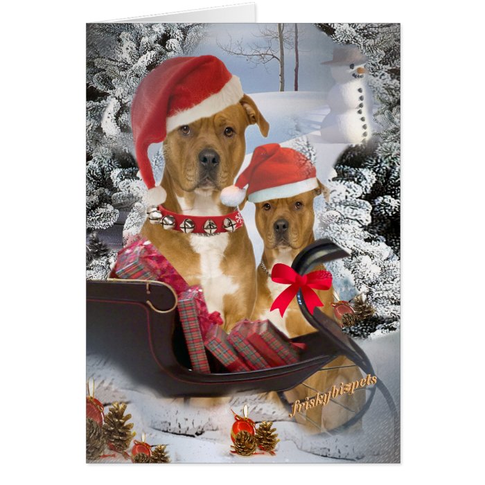 Pitbull "Santa's Sleigh" Cards