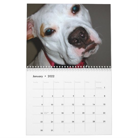 Pitbull Save the Breed calendar | Zazzle.com