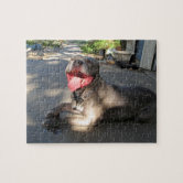 https://rlv.zcache.com/pitbull_sloppy_dog_kiss_puzzle-r8c0a377cf9a544049b54c6179ae23d01_amb0f_8byvr_166.jpg