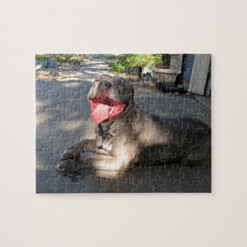 Pitbull Sloppy Dog Kiss Puzzle