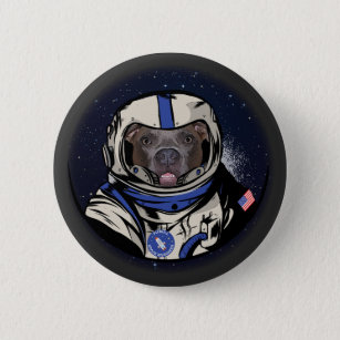Pitbull Space Engineer Planet Galaxy Moon Landing Button