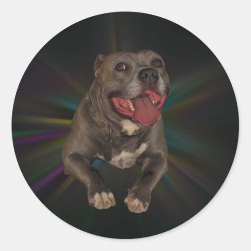 Pitbull Stickers