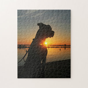 Pitbull Sunrise Puzzle