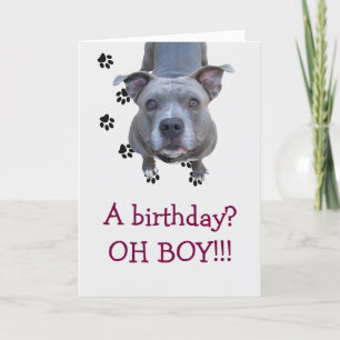 Pitbull Table Scraps Birthday Card
