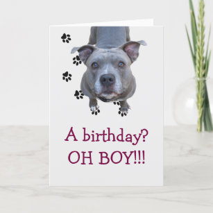 Pitbull Bikini Birthday Card 