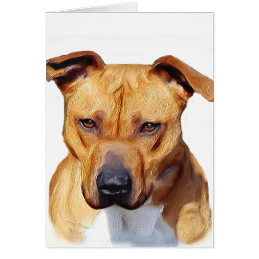 Pitbull Terrier Cards (Front)