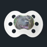 Pitbull terrier dog pacifier<br><div class="desc">add text or upload your own image</div>