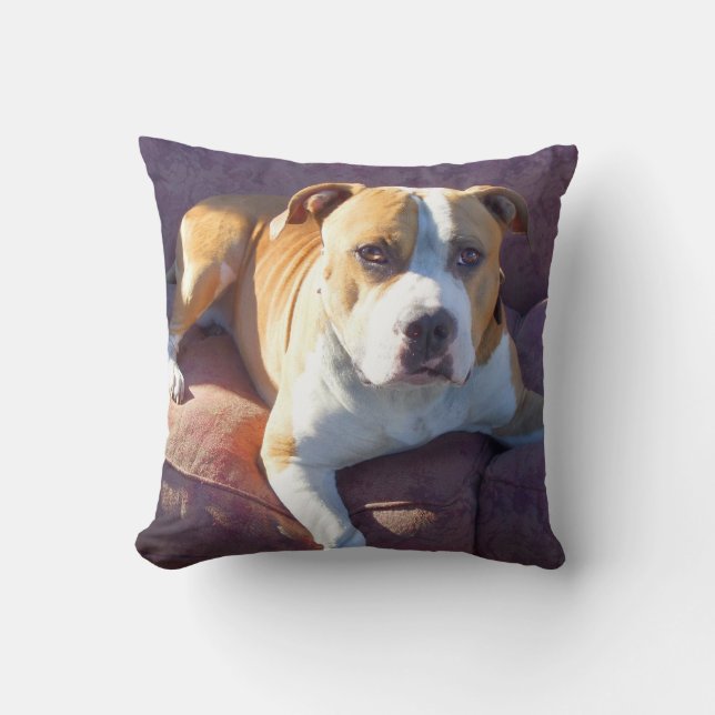 Pitbull terrier dog throw pillow (Front)