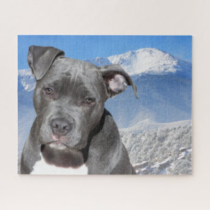 Pitbull Terrier. Jigsaw Puzzle
