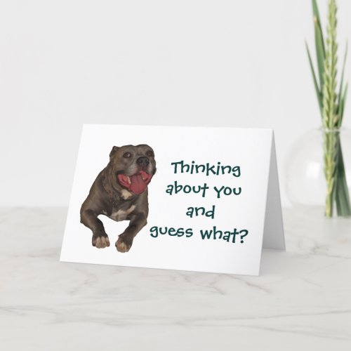 Pitbull Thinking About You Greeting Card