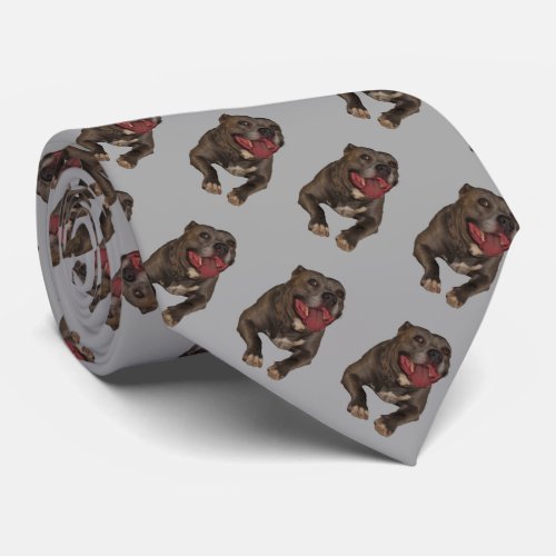 Pitbull Tie