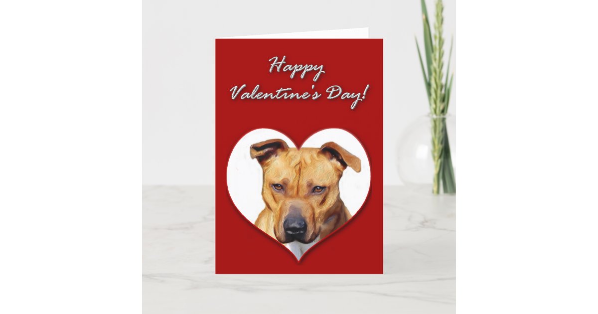 pitbull-valentines-day-card-zazzle