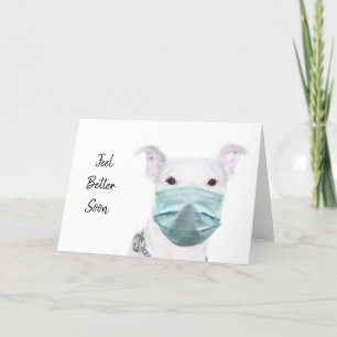 Pitbull wearing face mask card