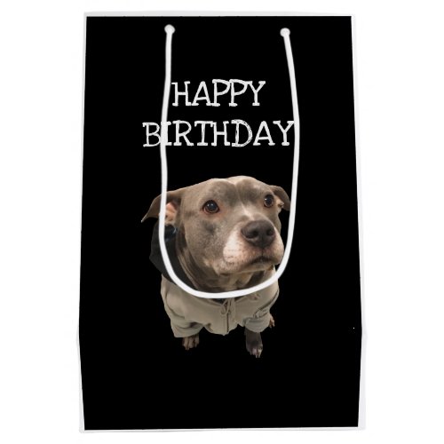 Pitbull Wearing Hoodie Gift Bag